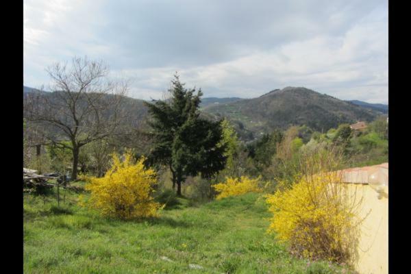 Gite De La Suche Lamastre Exterior foto
